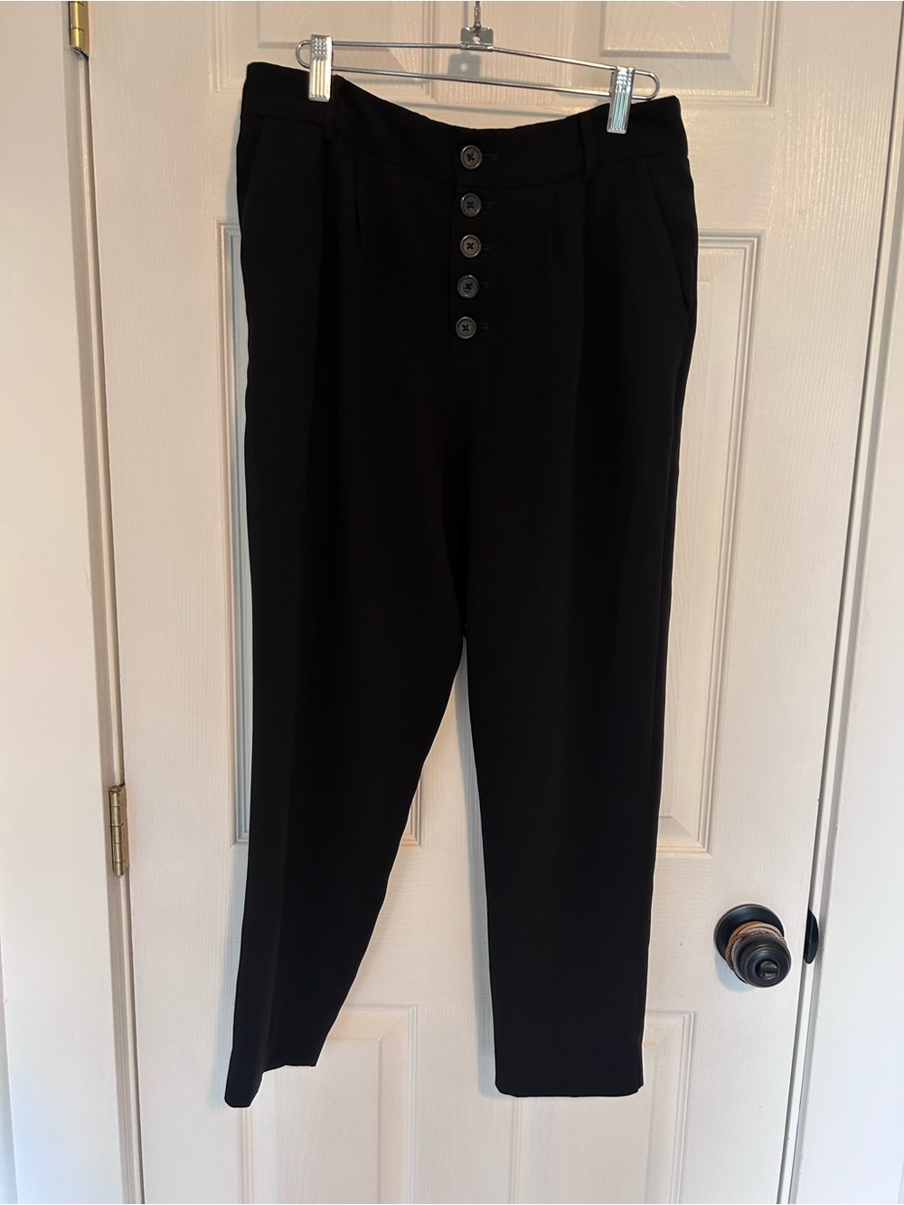 Anthropologie Sasha Button Fly Tapered Trousers